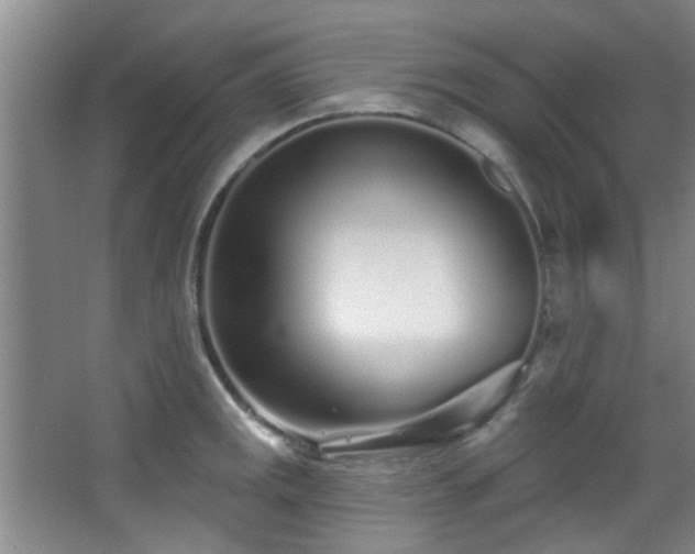 X0000068271141200604241251