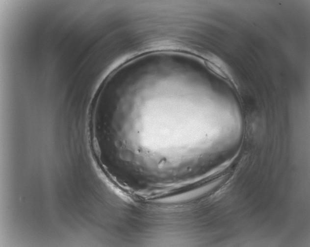 X0000068271142200604241251