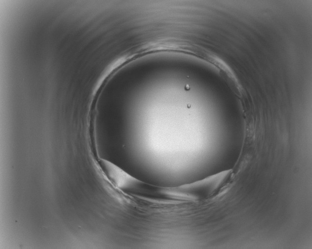 X0000068271146200604241251