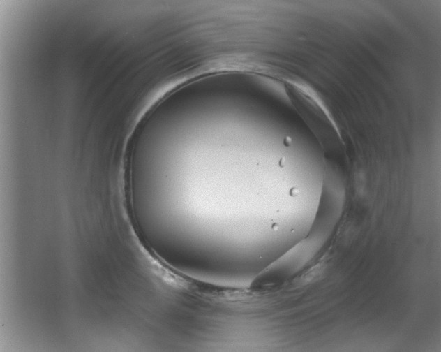 X0000068271147200604241251