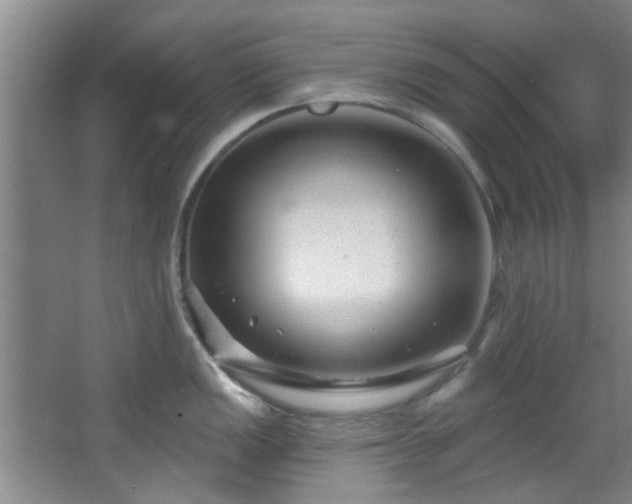 X0000068271149200604241251