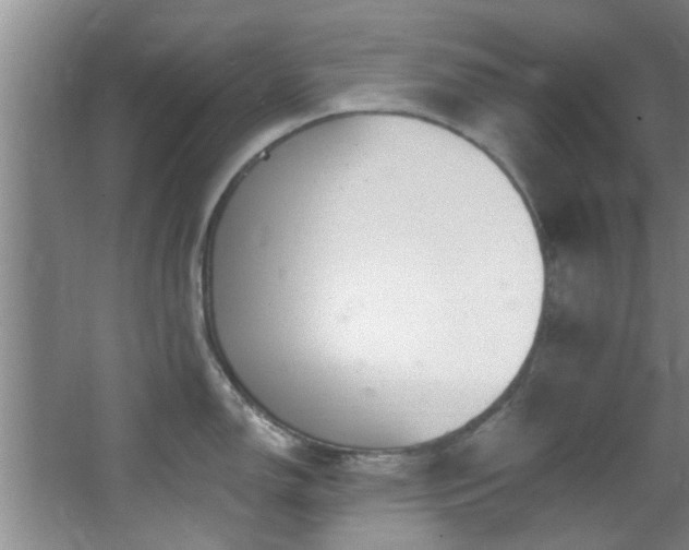 X0000068271150200604241251