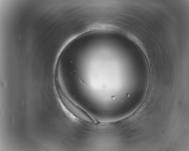 X0000068271152200604241251