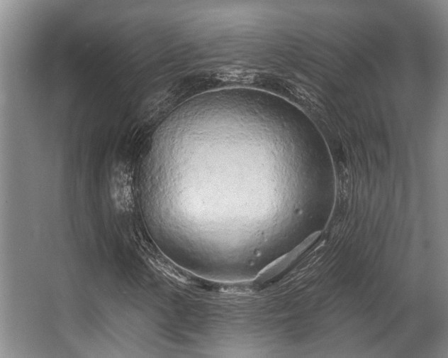 X0000068271154200604241250