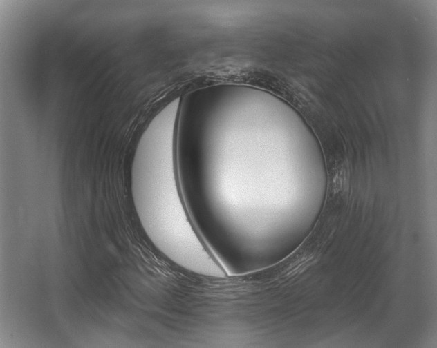 X0000068271156200604241250