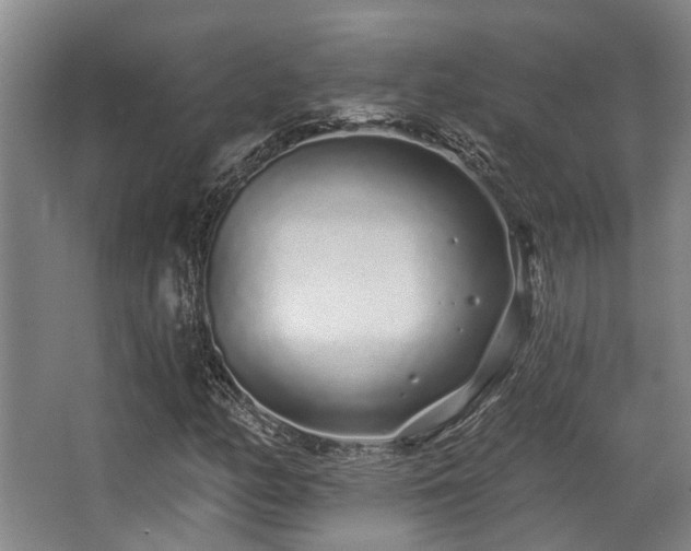 X0000068271158200604241250