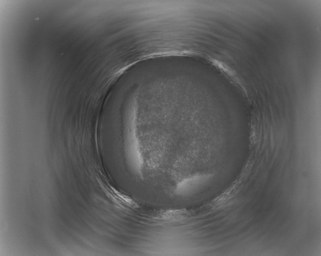 X0000068271161200604241250