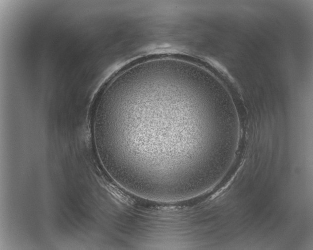 X0000068271167200604241250