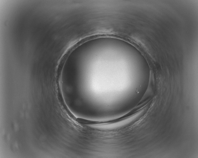 X0000068271168200604241250