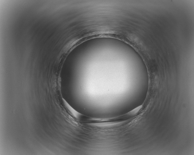 X0000068271169200604241250