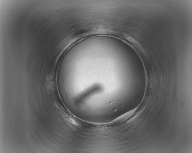 X0000068271170200604241250