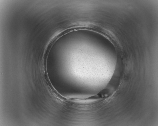 X0000068271172200604241250