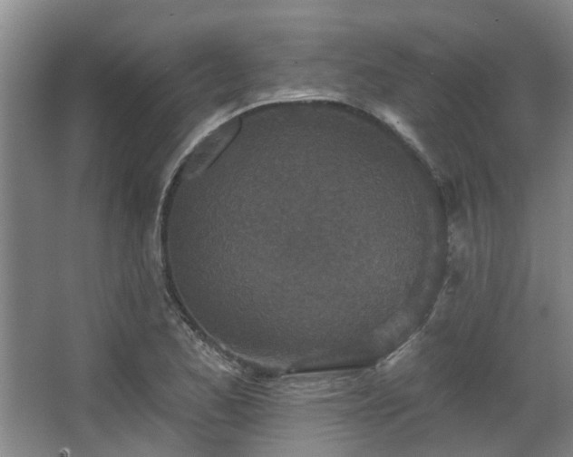 X0000068271173200604241250