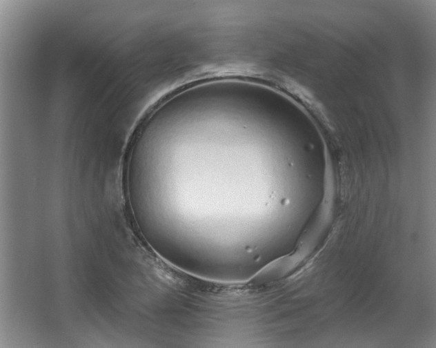 X0000068271174200604241250