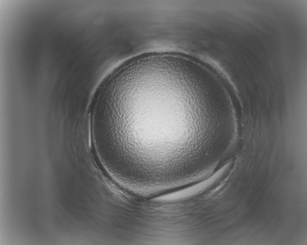 X0000068271175200604241250