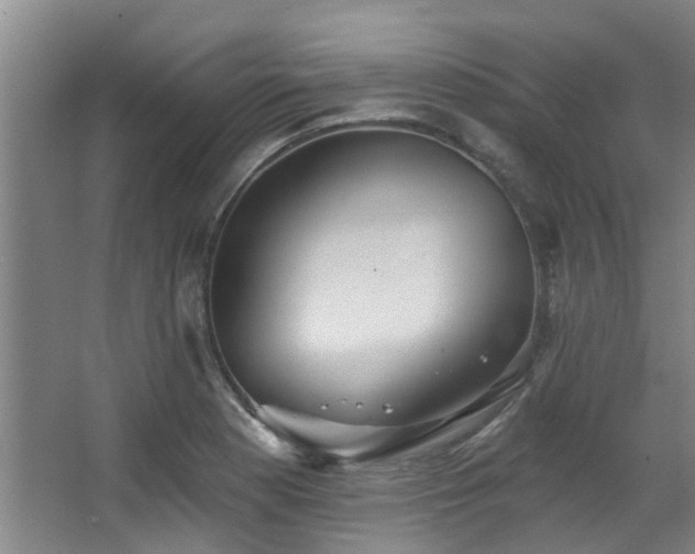 X0000068271177200604241250