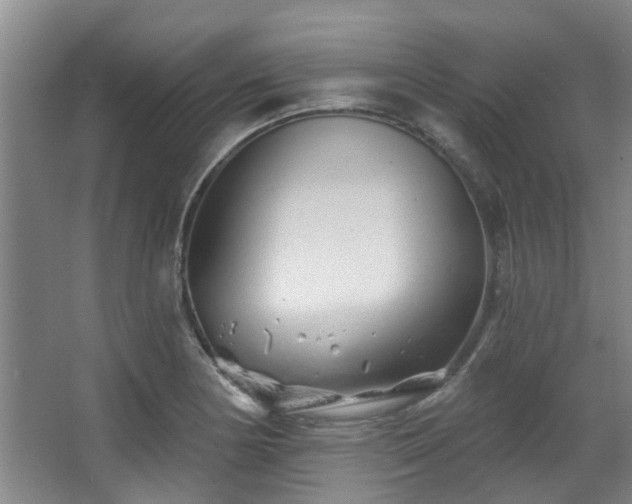 X0000068271178200604241250