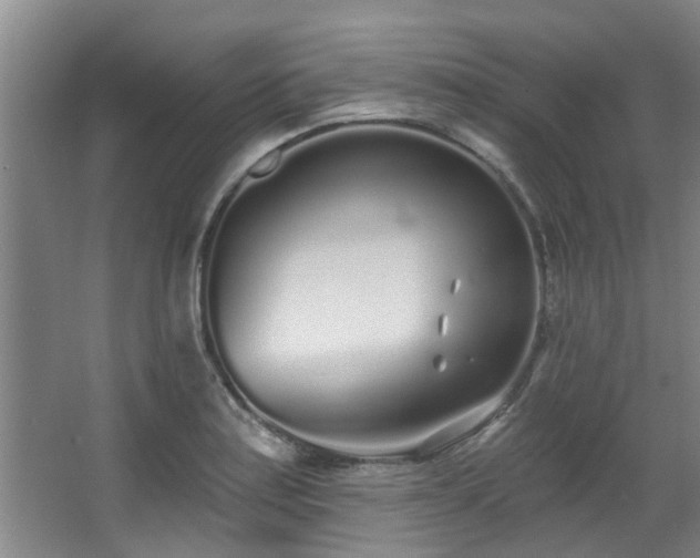 X0000068271179200604241250