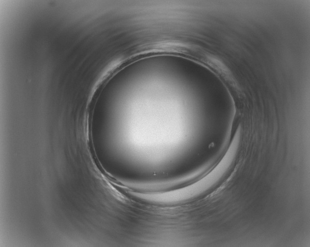 X0000068271180200604241250