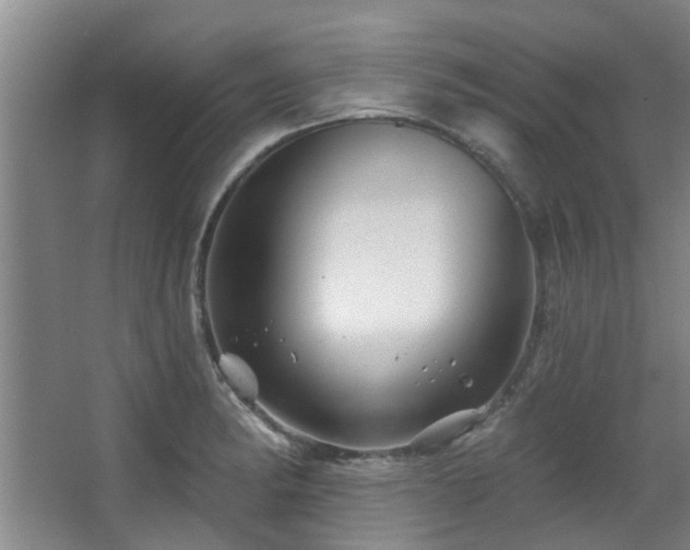 X0000068271182200604241250