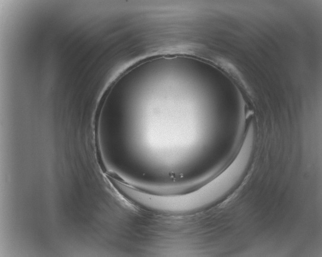 X0000068271184200604241250