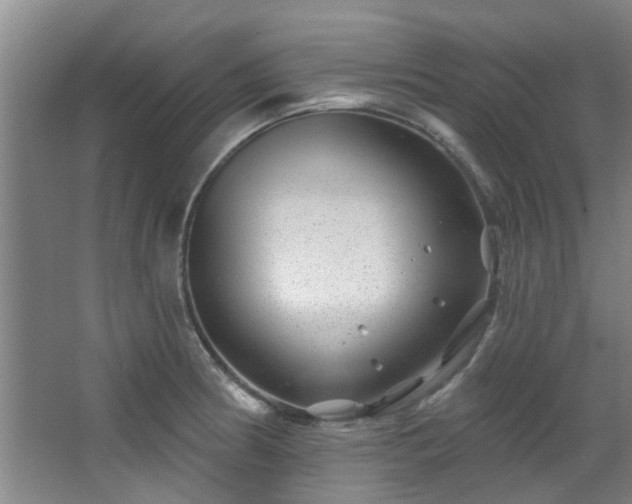 X0000068271186200604241250