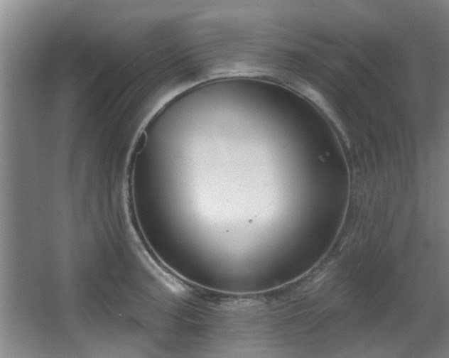 X0000068271187200604241250