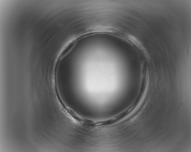 X0000068271188200604241250