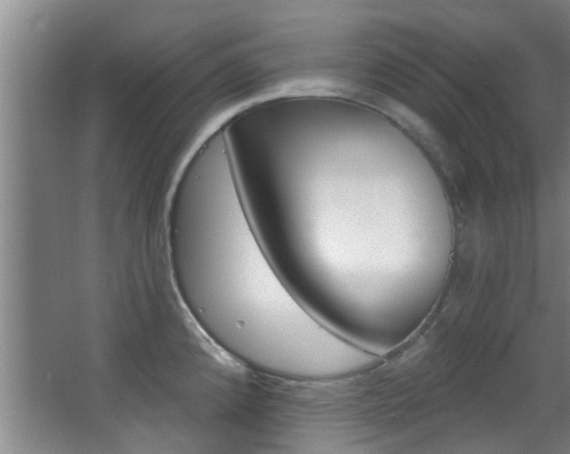 X0000068271192200604241250