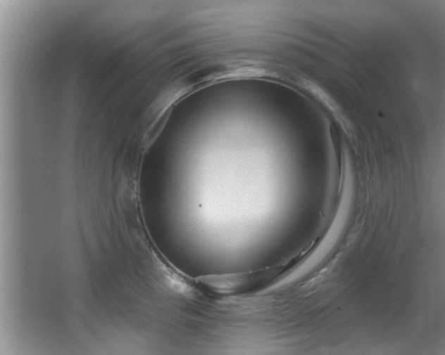 X0000068271193200604241250