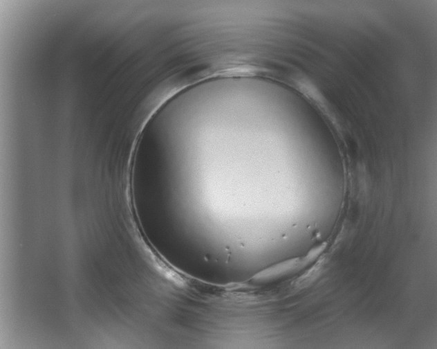 X0000068271194200604241250