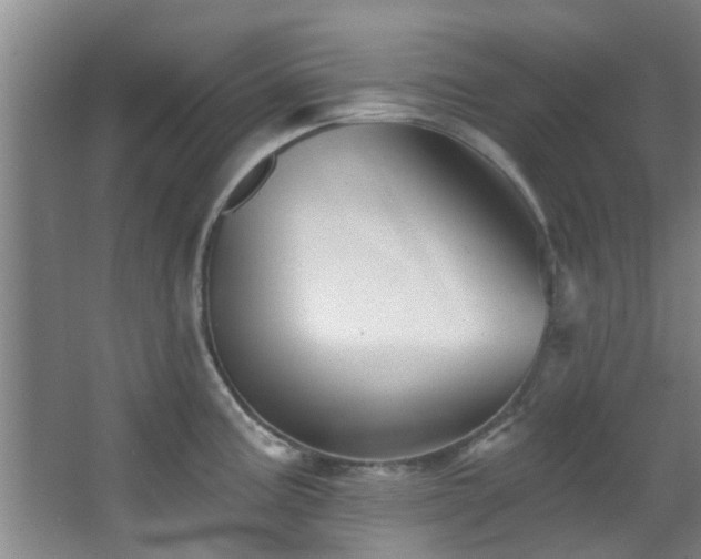 X0000068271195200604241250