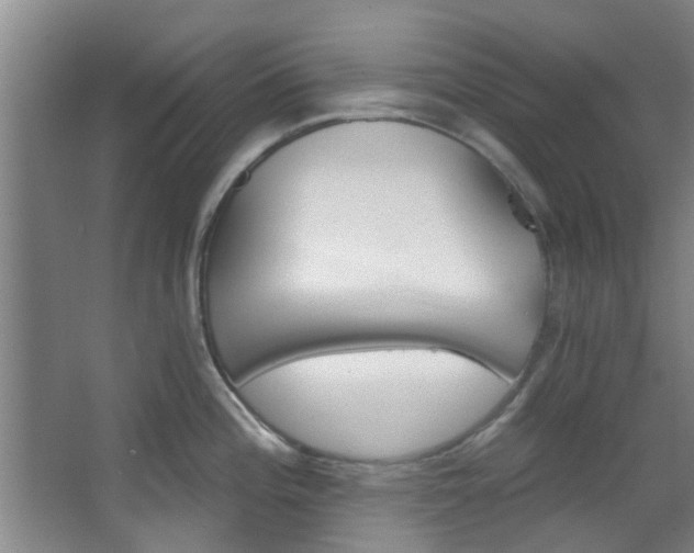 X0000068271196200604241249