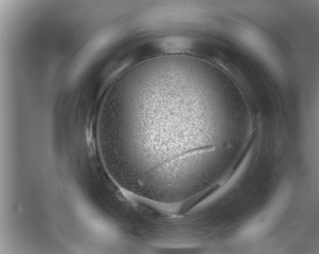 X0000068271198200604241249