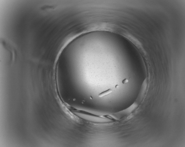 X0000068271200200604241249