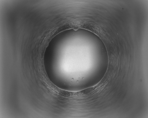 X0000068271201200604241249