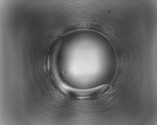 X0000068271202200604241249