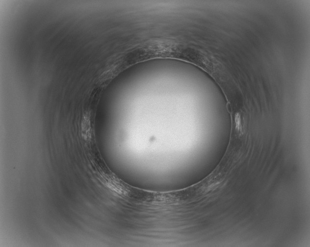 X0000068271203200604241249