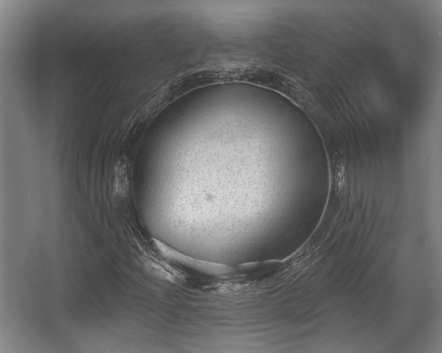 X0000068271204200604241249