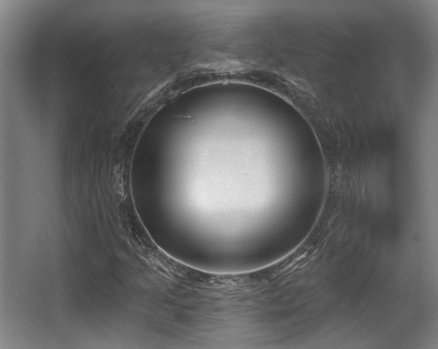 X0000068271205200604241249