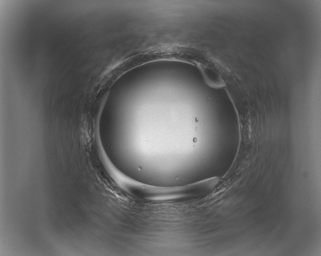 X0000068271206200604241249