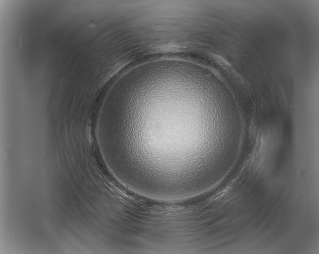 X0000068271209200604241249