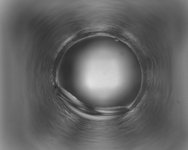 X0000068271210200604241249