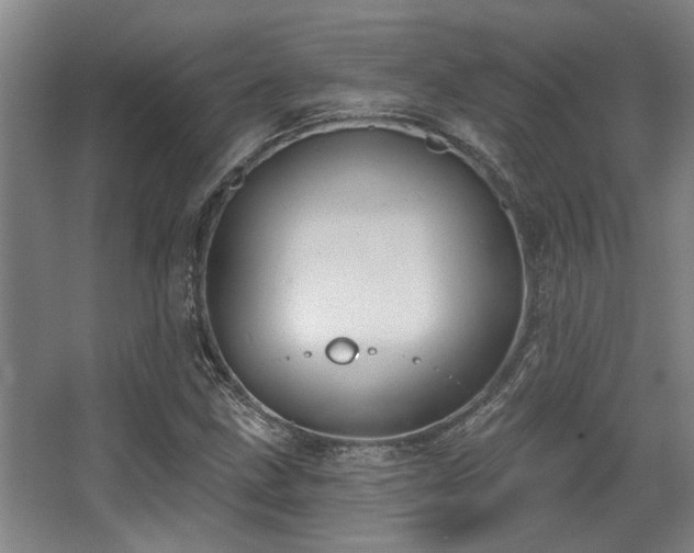 X0000068271211200604241249