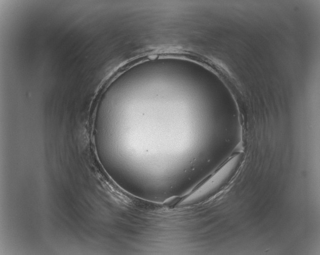 X0000068271212200604241249