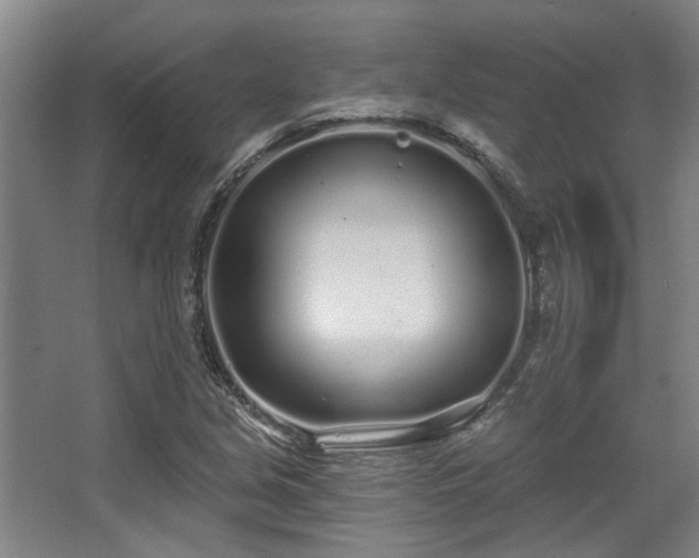 X0000068271213200604241249