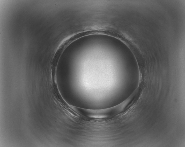 X0000068271214200604241249