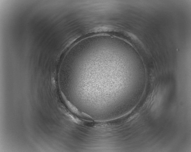 X0000068271217200604241249