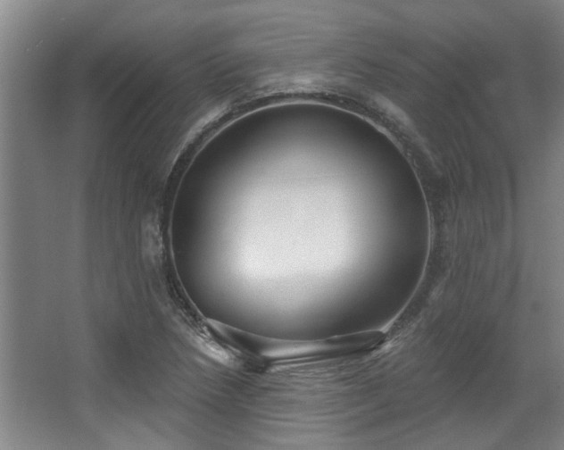 X0000068271218200604241249