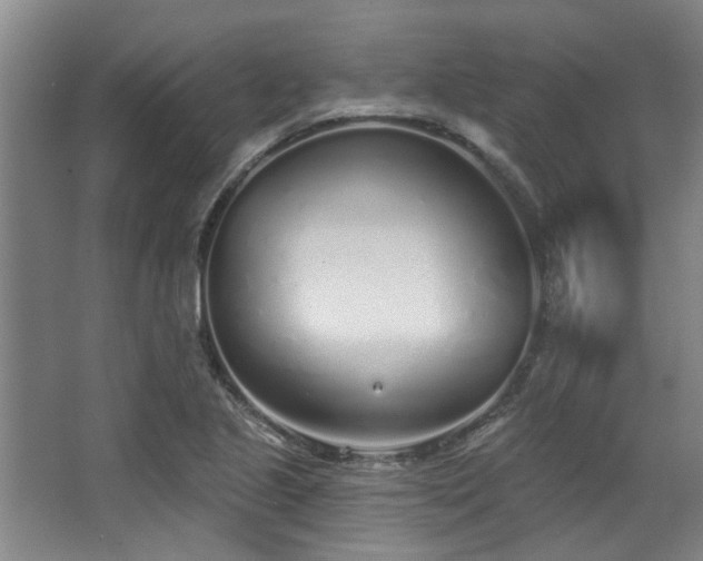 X0000068271221200604241249